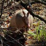 First Friday Art Walk - Lee Blakeney