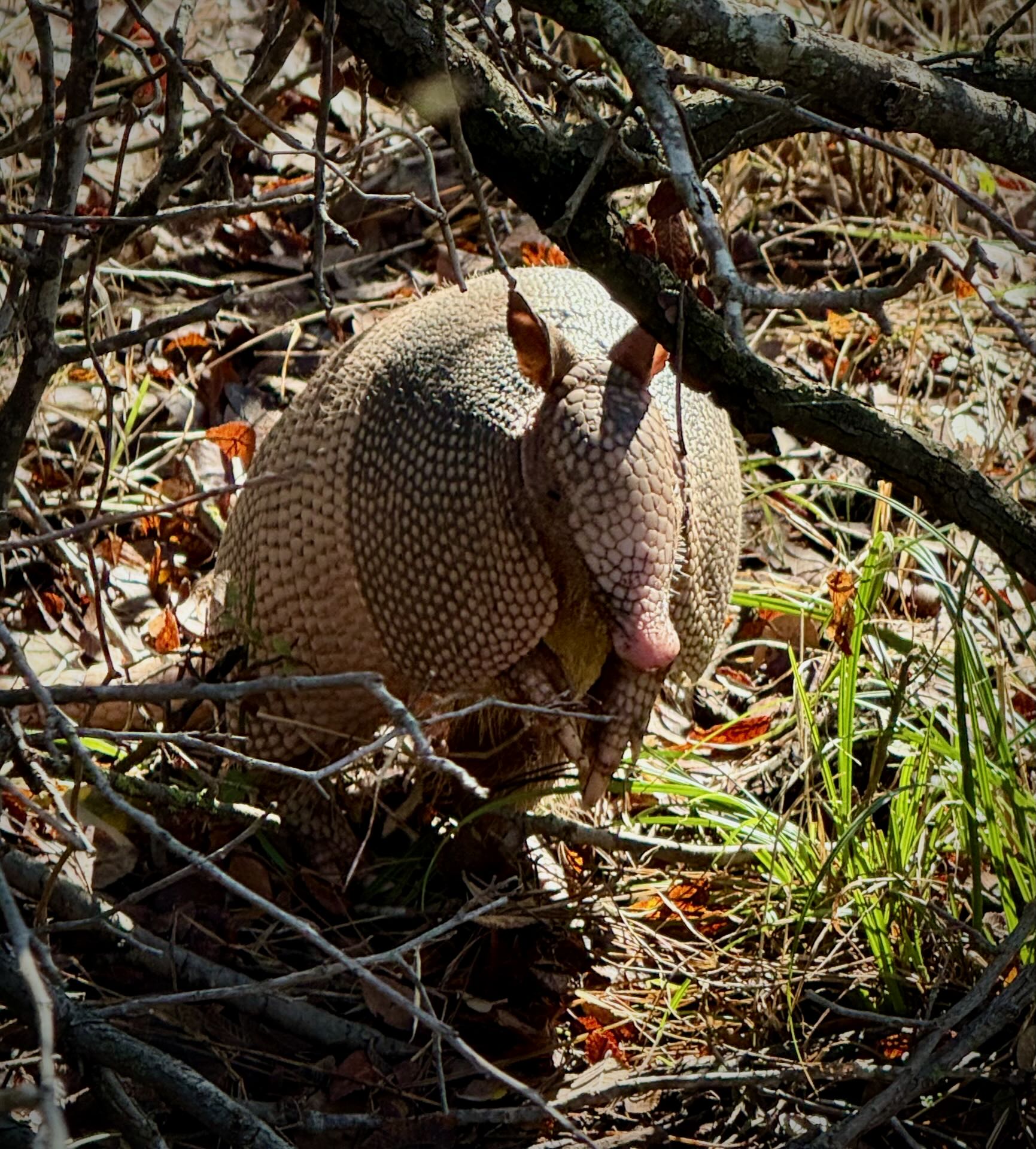 First Friday Art Walk - Lee Blakeney